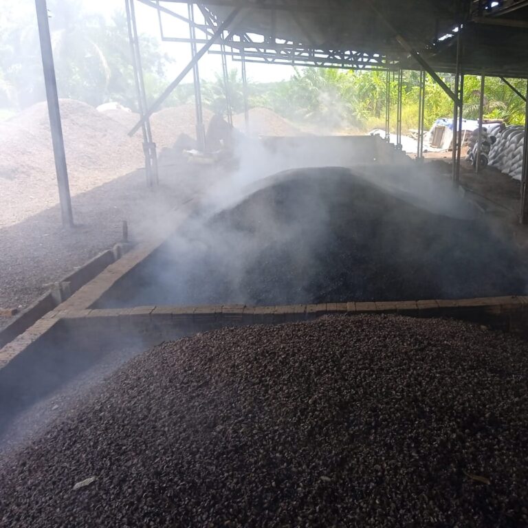 Arang cangkang sawit